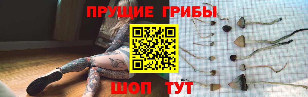Псилоцибиновые грибы мухоморы Полевской